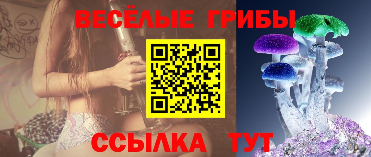 наркошоп  Псилоцибиновые грибы GOLDEN TEACHER  Краснодар  Вход с VPN  Псилоцибиновые грибы Psilocybe 